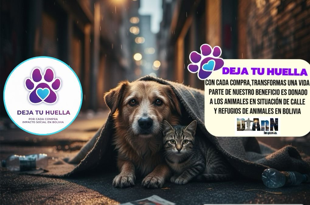 whatsapp image 2025 11 13 at 1.24.33 pm